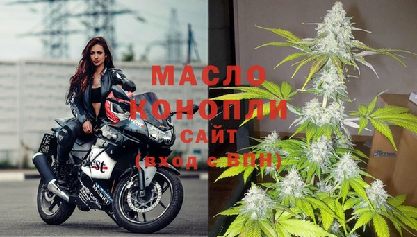 мяу мяу мука Горняк