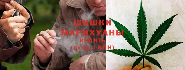 мяу мяу мука Горняк