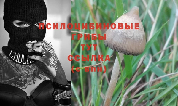 мет Горнозаводск