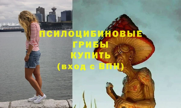 прущие крисы Гусь-Хрустальный