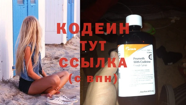 spice Гусев