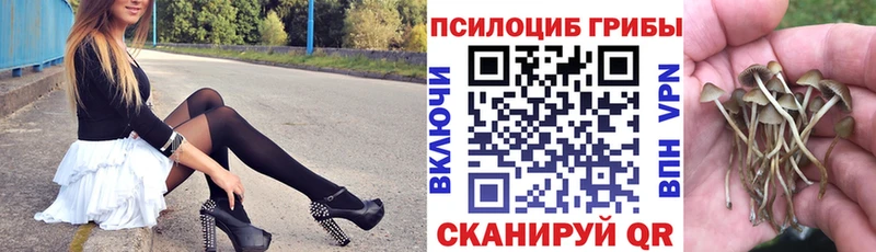 как найти закладки  Ленинградская  Галлюциногенные грибы мухоморы 